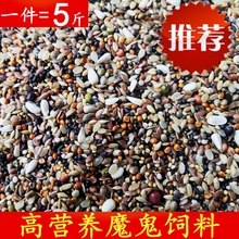 魔鬼饲料鸽粮鸽子饲料鸽子食物饲料营养斑鸠幼鸽信鸽赛鸽鸽粮包邮