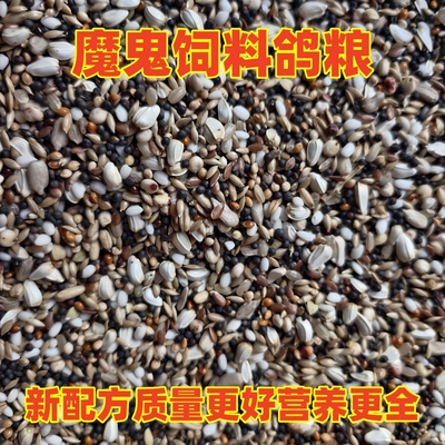 魔鬼饲料鸽粮鸽子食物营养幼鸽