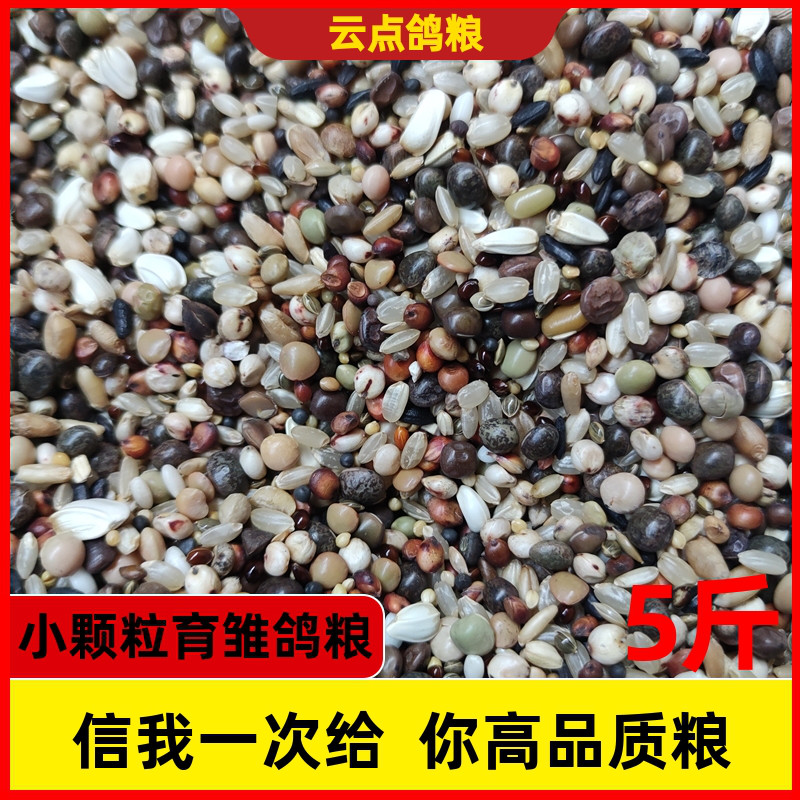 红高粱小豌豆糙米育雏鸽粮食饲料