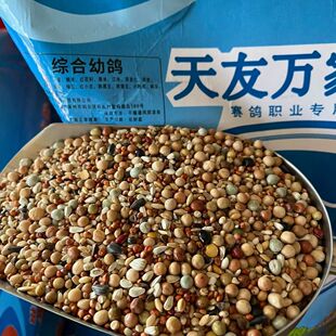 天友万家鸽粮综合幼鸽粮鸽子赛鸽幼鸽种鸽粮饲料5斤10斤50斤包邮