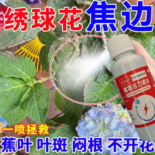 绣球花专用营养液家用盆栽养花种花卉绿植物水培土培通用肥