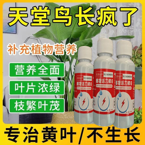 天堂鸟肥料专用营养液家用盆栽营养液急救黄叶卷边开裂花肥大型绿