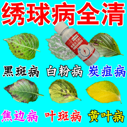 绣球花专用营养液催花促花黄叶枯萎家用盆栽花卉栽酸性植物水溶肥
