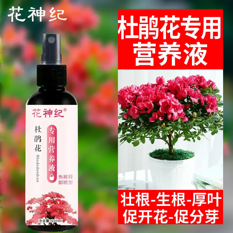 杜鹃花营养液黄叶落叶枯萎免稀释专用有机肥不伤花