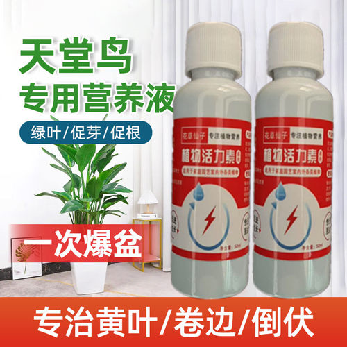 天堂鸟绿植专用肥料免稀释家用营养液黄叶黄斑卷边通用营养液水培