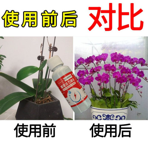 蝴蝶兰专用肥兰花营养液文心兰君子兰出箭催花防黄叶烂根壮苗促长