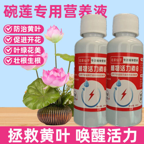 碗莲营养液水培睡莲专用肥料促进开花荷花水溶肥土培通用花卉