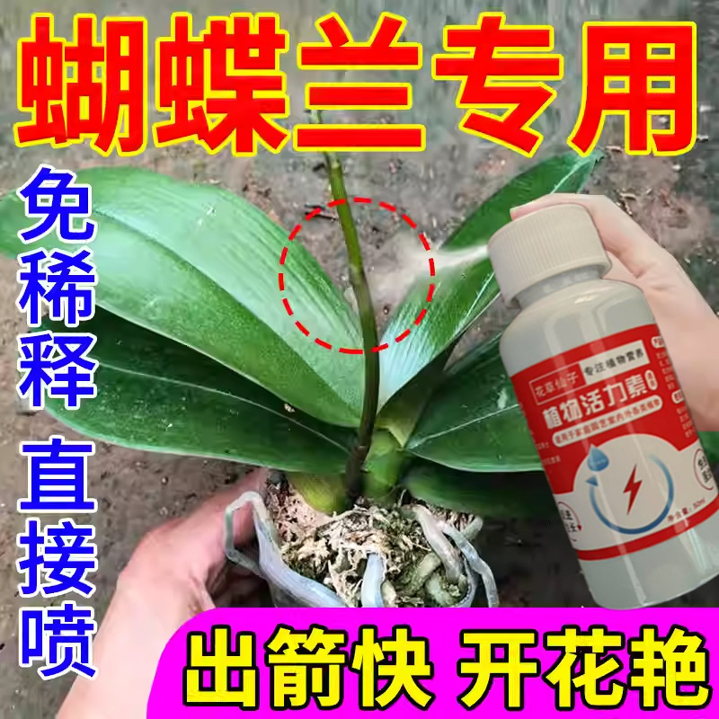 【猛出花箭】蝴蝶兰专用营养液促花剑开花肥兰花盆栽免稀释专用肥