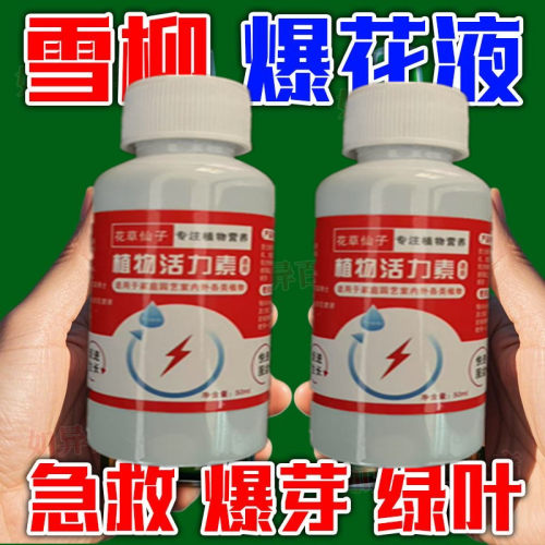 【急救】雪柳水培营养液专用肥料干枝不发芽不开花掉叶促生长