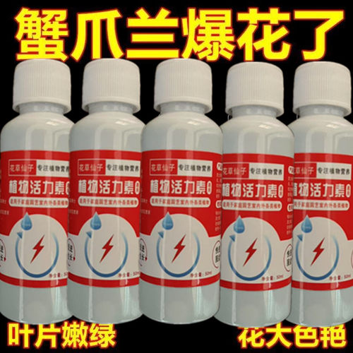 蟹爪兰专用肥料养花肥料蟹爪兰四季开花营养液免稀释养花专用肥料