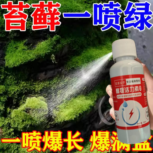 苔藓营养液专用肥盆栽微景观造景绿植生根液体治干枯黄叶增绿肥料