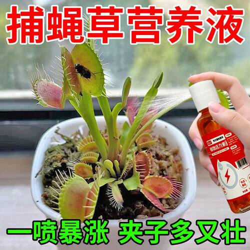 捕蝇草专用营养液智利七星水苔肥料促开夹叶子大植物通用型液体肥