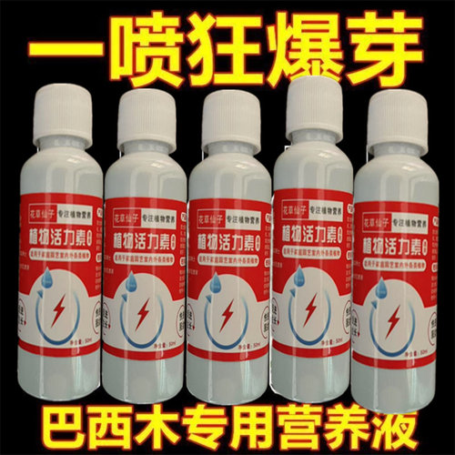 巴西木生根专用肥料龙血树怎么养发芽水培植物免稀释通用型营养液