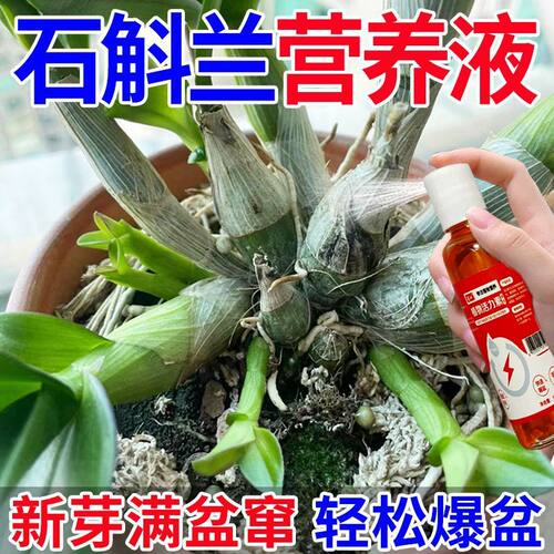 【猛窜新芽】石斛兰营养液铁皮石斛专用肥料生根壮苗催花盆栽花肥