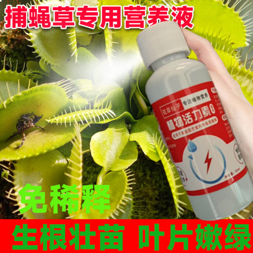 捕蝇草专用营养液专治黑腐病发黄枯萎打蔫烂根植株小营养液