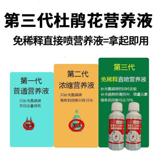 杜鹃花复活液植物再生剂叶斑根腐黄化病专用药黄叶枯叶烂根