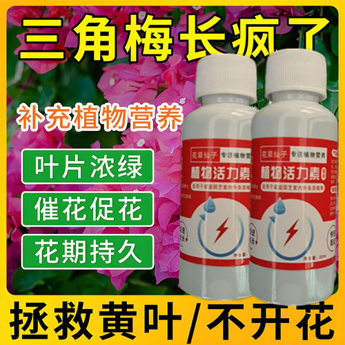 月月开花】三角梅专用营养液治黄叶枯萎落叶不开花催芽促花叶面肥