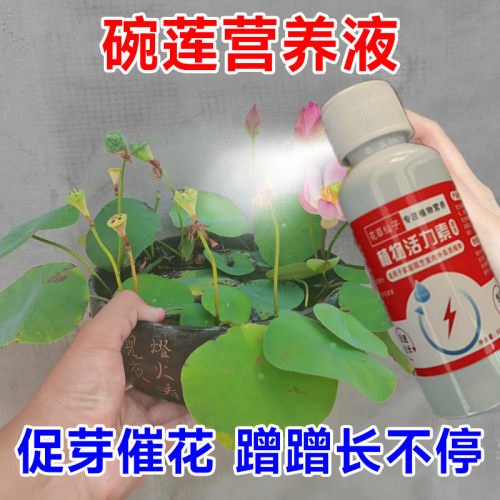 碗莲专用营养液碗莲肥料睡莲专用肥睡莲营养液水溶肥莲花荷花肥料