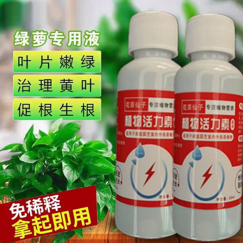 绿萝营养液免稀释绿箩专用肥叶子发黄绿萝肥料植物绿箩营业液花肥