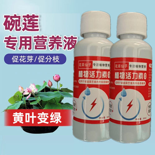 碗莲肥料碗莲营养液睡莲专用营养液促进开花的肥料水培荷花专用肥