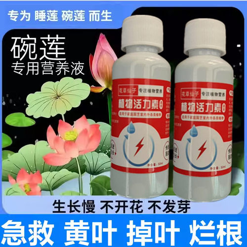 碗莲专用营养液水培植物土培睡莲通用肥料治生长缓慢不发芽不开花