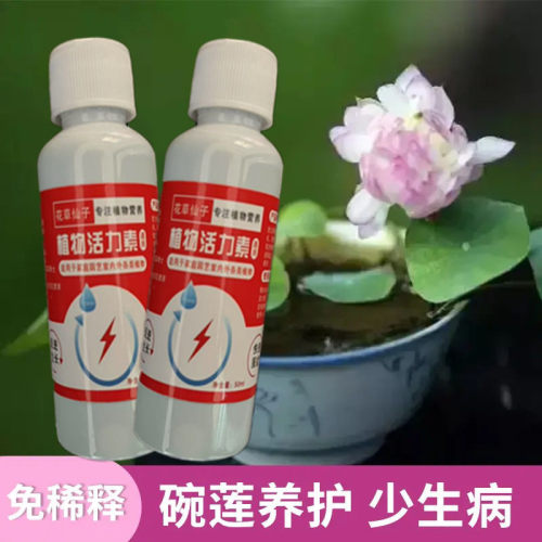 碗莲专用营养液睡莲肥料促进开花的肥料水培荷花专用肥莲花荷塘泥