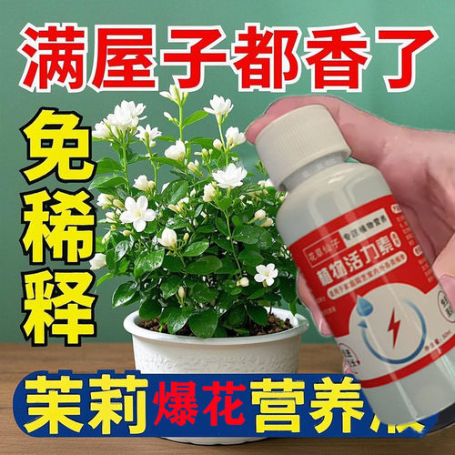 茉莉花专用营养液催花促花肥料家用花卉专用肥喜酸植物通用液体肥