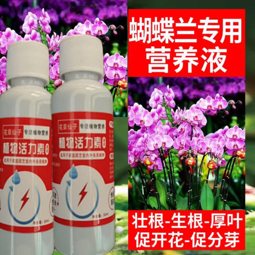 蝴蝶兰专用营养液兰花肥料优芽素快速生根粉爆芽剂催芽生根开花肥