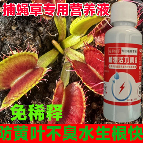 【夹肥叶厚】捕蝇草专用营养液专治黑腐病发黄枯萎打蔫烂根植株小