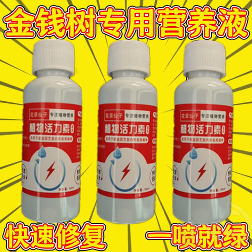 【拯救】金钱树叶子发黄一喷绿专用营养液爆新芽防黄防烂根免稀释