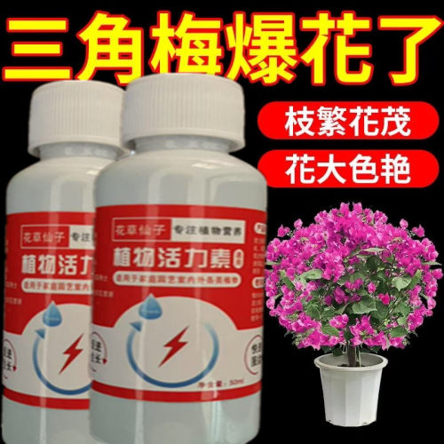 免稀释三角梅专用营养液肥料开花专用肥促花爆花冒花肥黄叶营养肥