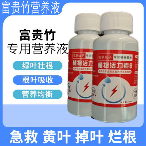 富贵竹专用营养液治竹子观音竹转运竹叶子发黄水培植物再生剂肥料