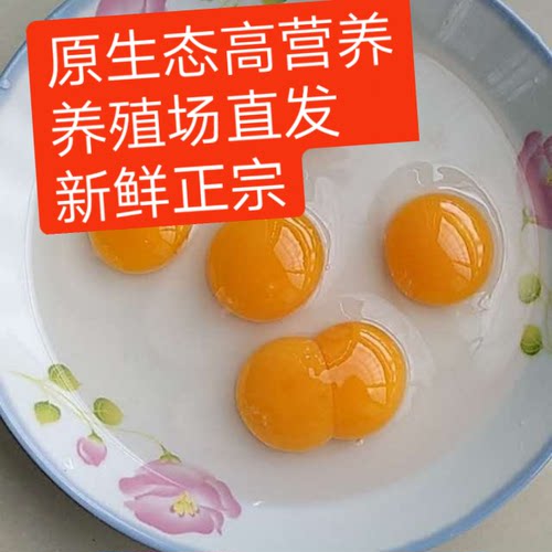 广西北海生鲜初产40只海鸭蛋