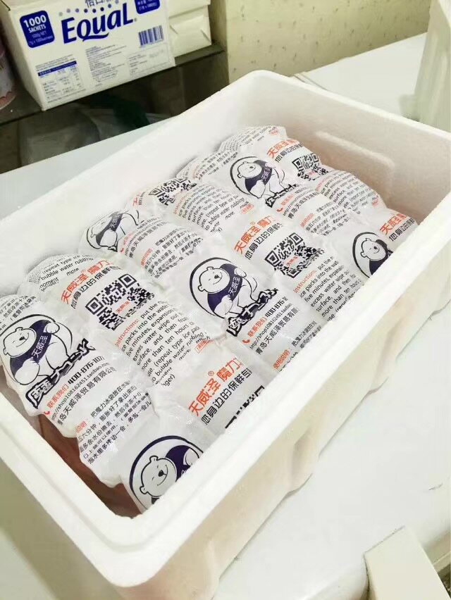 航空冰袋，冷藏保鲜，干冰袋冰包