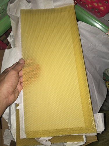 蜜蜂中蜂巢础养蜂工具