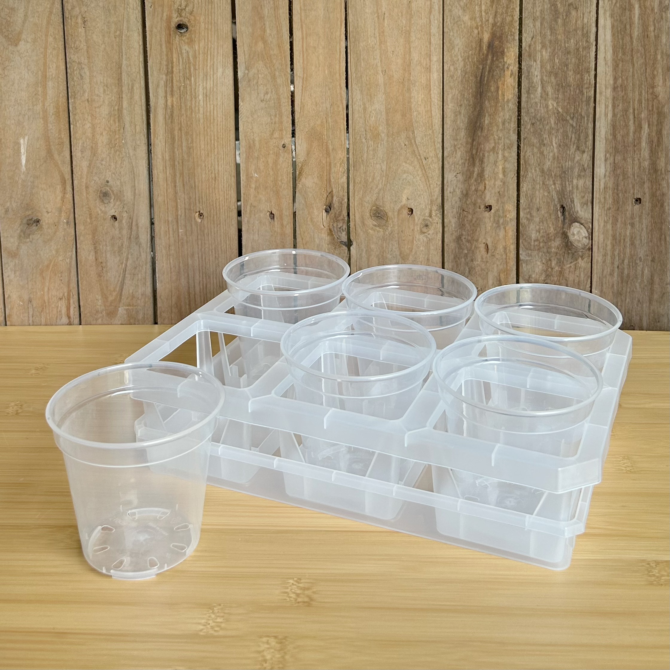 【2.8寸】6格托架透明塑料花盆石斛蝴蝶兰整理托盘扦插观根育苗杯