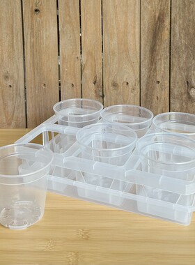 【3寸】6格托架透明塑料圆形花盆石斛蝴蝶兰盆整理托盘扦插育苗杯
