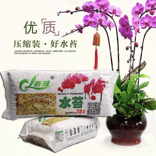 国产干苔藓乌龟冬眠蝴蝶兰专用土