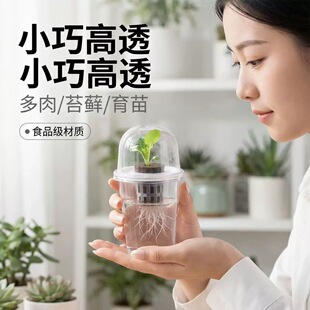 水培育苗盆套装塑料花盆圆口带盖保温湿花卉果蔬种子萌发发根神器