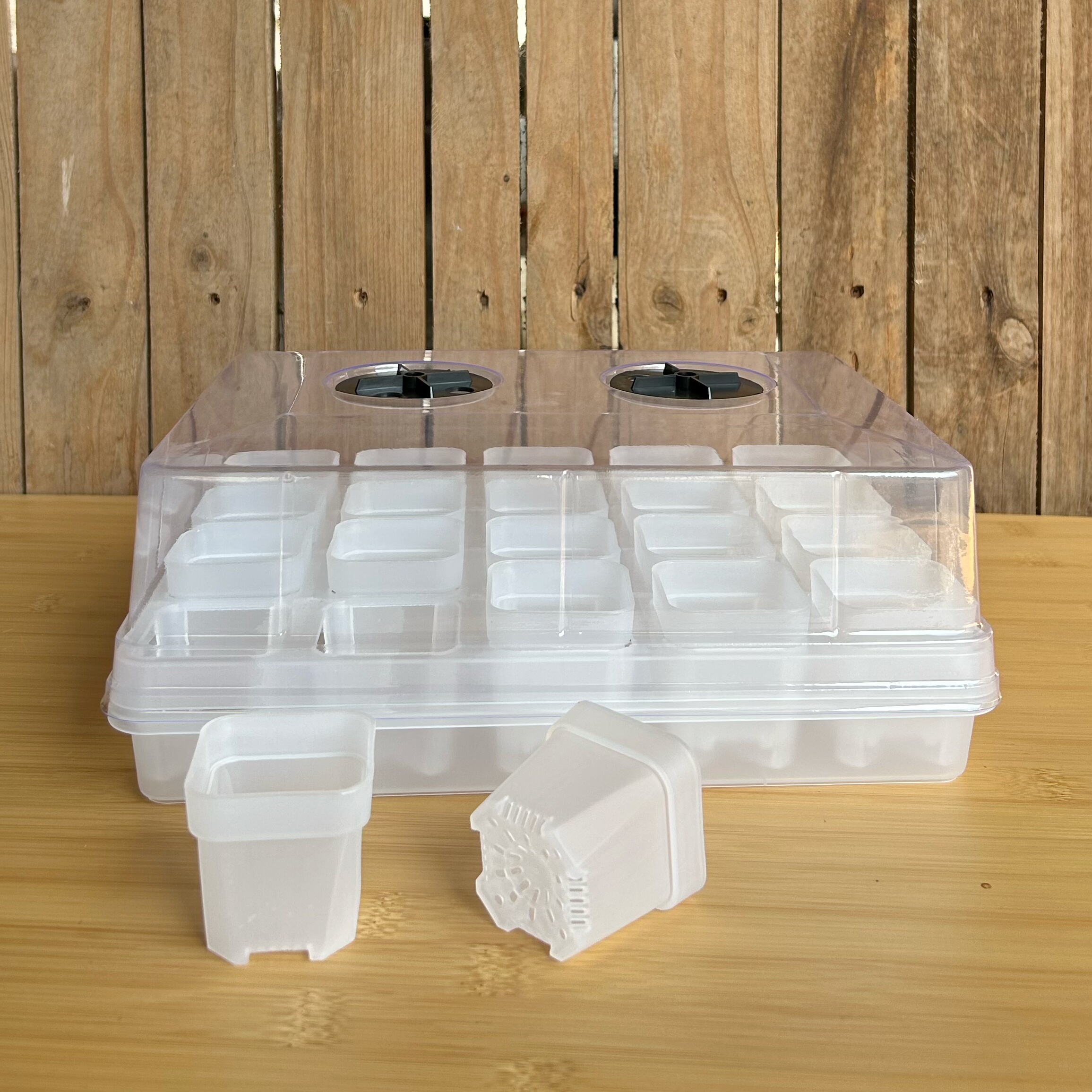 【口径5cm】20格托架整理托盘多肉花盆透明花盆闷养盖扦插小白方,鲜花速递/花卉仿真/绿植园艺,花盆,淘宝优惠券,粉丝福利购,淘宝优惠卷