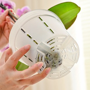 蝴蝶兰控根盆 透明可视透气排水塑料花盆多肉花盆绿植捕蝇草盆