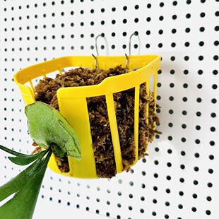 [种植篮]鹿角蕨球兰板植蝴蝶兰挂篮懒人植物上板上墙种植框