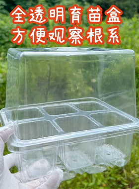 新款加高盖全透明6孔/12孔加厚育苗盒扦插叶插播种盆保温盒幼儿园