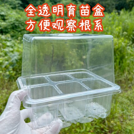 新款加高盖全透明6孔/12孔加厚育苗盒扦插叶插播种盆保温盒幼儿园