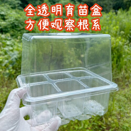 新款加高盖全透明6孔/12孔加厚育苗盒扦插叶插播种盆保温盒幼儿园