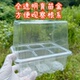 新款 加高盖全透明6孔 12孔加厚育苗盒扦插叶插播种盆保温盒幼儿园