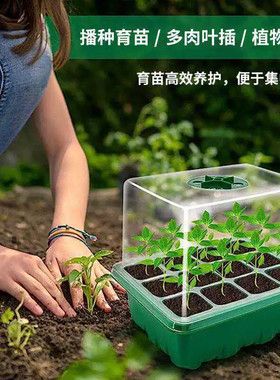 6孔12孔加厚育苗盒透明盖子带旋转开关扦插叶插盒保温保湿种子盒