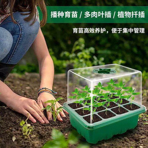 6孔12孔加厚育苗盒透明盖子带旋转开关扦插叶插盒保温保湿种子盒