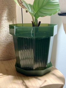 半透彩色塑料PP花盆加厚春羽水培彩叶芋海芋花烛蕨类种植透气养根