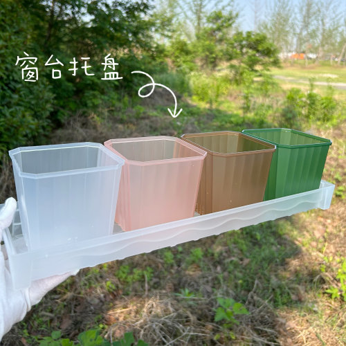 【口径10cm】半透明彩方多肉植物花卉塑料花盆加厚窗台接水托盘架